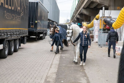 Cavalluna "Land Of A Thousand Dreams" stables tour @ Sportpaleis, foto 18, foto's door dirk janssens - FrontView Magazine