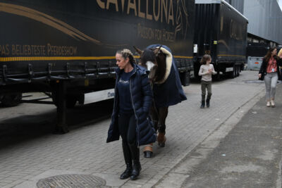Cavalluna "Land Of A Thousand Dreams" stables tour @ Sportpaleis, foto 19, foto's door dirk janssens - FrontView Magazine