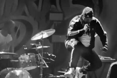 Bizkit Park @ Rock Affligem, picture 15, photographed by Luc Klinckaert - FrontView Magazine