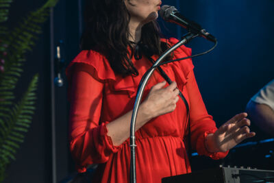 Donna Blue @ De Casino, picture 2, photographed by Jelle Meersschaut - FrontView Magazine