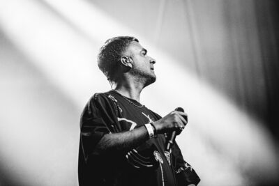 Goose @ Rock Herk, picture 31, photographed by Leen Verlinden - FrontView Magazine