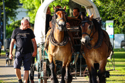 De Klokkenluider van de Notre Dame @ Donkmeer, picture 16, photographed by Kitty van de Waart - FrontView Magazine