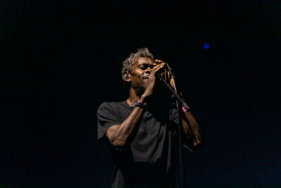 Massive Attack @ Lokerse Feesten, picture 6, photographed by Edwin Houdevelt - FrontView Magazine