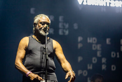 Massive Attack @ Lokerse Feesten, picture 26, photographed by Edwin Houdevelt - FrontView Magazine