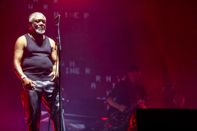 Massive Attack @ Lokerse Feesten, picture 34, photographed by Edwin Houdevelt - FrontView Magazine