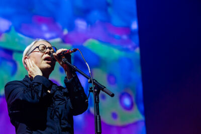 Massive Attack @ Lokerse Feesten, picture 39, photographed by Edwin Houdevelt - FrontView Magazine