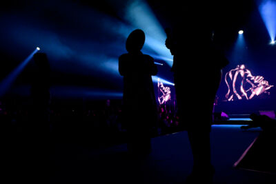 Joe Singalone party @ Antwerp expo, foto 38, foto's door Gert Daemen - FrontView Magazine