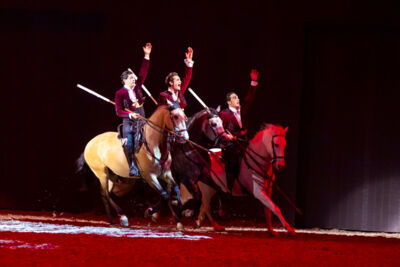 Cavalluna Grand Moments @ sportpaleis, picture 6, photographed by dirk janssens - FrontView Magazine