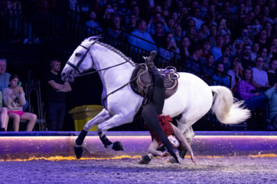 Cavalluna Grand Moments @ sportpaleis, picture 18, photographed by dirk janssens - FrontView Magazine