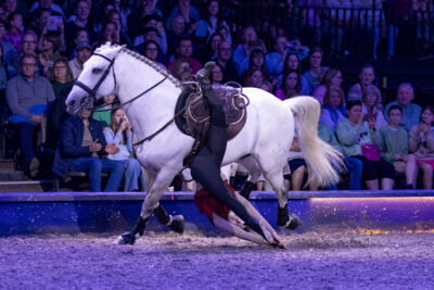 Cavalluna Grand Moments @ sportpaleis, picture 19, photographed by dirk janssens - FrontView Magazine
