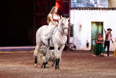 Cavalluna Grand Moments @ sportpaleis, picture 25, photographed by dirk janssens - FrontView Magazine
