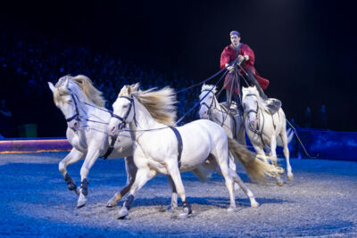 Cavalluna Grand Moments @ sportpaleis, picture 32, photographed by dirk janssens - FrontView Magazine