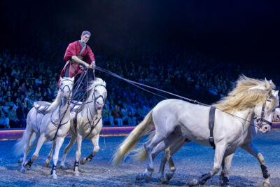 Cavalluna Grand Moments @ sportpaleis, picture 33, photographed by dirk janssens - FrontView Magazine