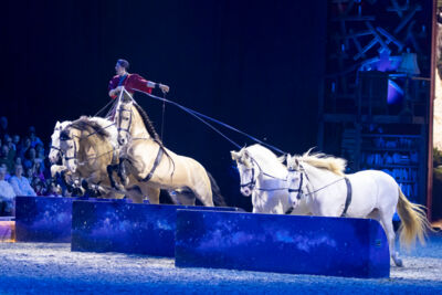 Cavalluna Grand Moments @ sportpaleis, picture 35, photographed by dirk janssens - FrontView Magazine