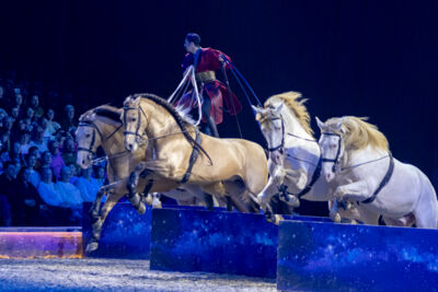 Cavalluna Grand Moments @ sportpaleis, picture 36, photographed by dirk janssens - FrontView Magazine