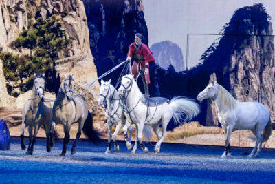 Cavalluna Grand Moments @ sportpaleis, picture 38, photographed by dirk janssens - FrontView Magazine