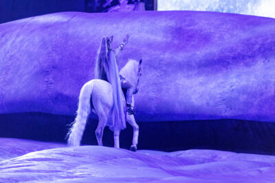 Cavalluna Grand Moments @ sportpaleis, picture 52, photographed by dirk janssens - FrontView Magazine