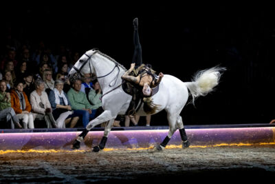 Cavalluna Grand Moments @ sportpaleis, picture 54, photographed by dirk janssens - FrontView Magazine