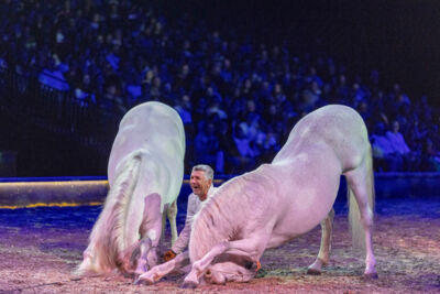 Cavalluna Grand Moments @ sportpaleis, picture 70, photographed by dirk janssens - FrontView Magazine