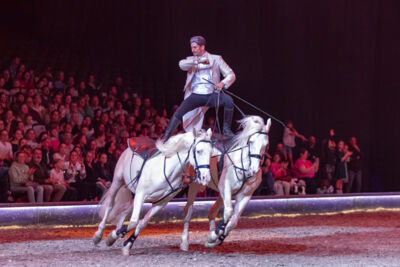 Cavalluna Grand Moments @ sportpaleis, picture 75, photographed by dirk janssens - FrontView Magazine