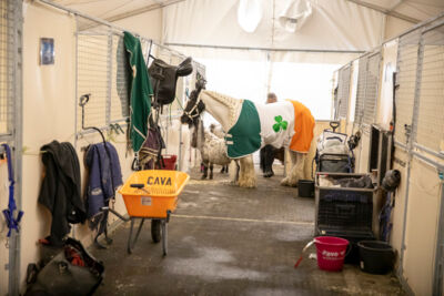 Cavalluna Stables tour @ sportpaleis, picture 2, photographed by dirk janssens - FrontView Magazine