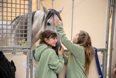 Cavalluna Stables tour @ sportpaleis, picture 5, photographed by dirk janssens - FrontView Magazine