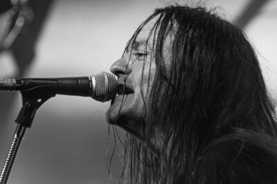 The Datsuns @ Trix, picture 16, photographed by Bart Janssens - FrontView Magazine