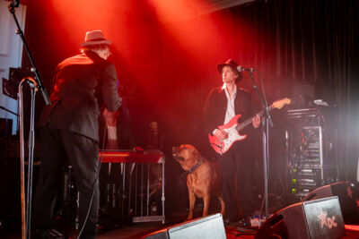 Peter Doherty @ De Casino, picture 2, photographed by Bart Janssens - FrontView Magazine