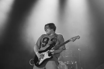The Zac Schulze Gang @ Roots & Roses Festival, picture 5, photographed by Koen Marcoen - FrontView Magazine