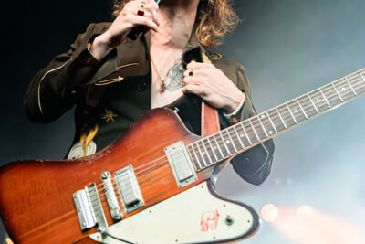 Dewolff @ Blues Peer, picture 23, photographed by Leen Verlinden - FrontView Magazine