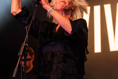 Vive La Fète @ De Casino, foto 23, foto's door Bart Janssens - FrontView Magazine