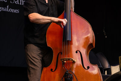 Doghouse Sam & his Magnatones @ Sjock, picture 6, photographed by David Johnson - FrontView Magazine