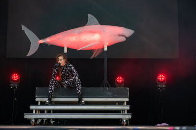 Merol @ Cactusfestival, picture 14, photographed by Bart Janssens - FrontView Magazine