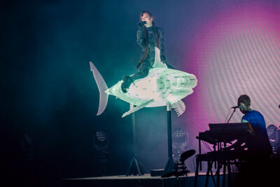 Merol @ Rock Zottegem, picture 16, photographed by Peter Smet - FrontView Magazine