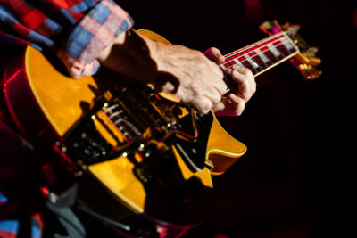 Melissa Etheridge @ Sjock, picture 18, photographed by David Johnson - FrontView Magazine
