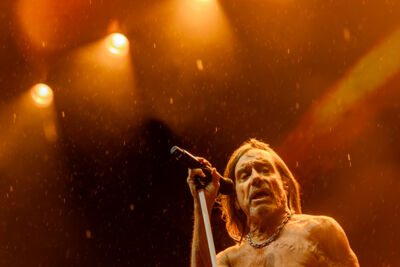 Iggy Pop @ Lokerse Feesten, picture 6, photographed by Dorien Goetschalckx - FrontView Magazine