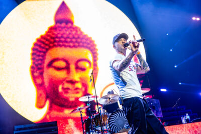 OneRepublic @ Lotto Arena, picture 20, photographed by Dorien Goetschalckx - FrontView Magazine