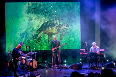 Isbells - And the noise settles @ Handeslbeurs Gent, picture 7, photographed by Raf Van Daele - FrontView Magazine