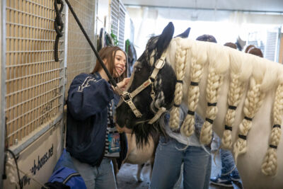 Cavalluna Stables tour @ Afas Dome, foto 7, foto's door dirk janssens - FrontView Magazine