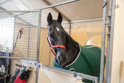 Cavalluna Stables tour @ Afas Dome, foto 8, foto's door dirk janssens - FrontView Magazine