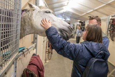 Cavalluna Stables tour @ Afas Dome, foto 11, foto's door dirk janssens - FrontView Magazine
