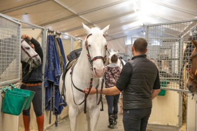 Cavalluna Stables tour @ Afas Dome, foto 17, foto's door dirk janssens - FrontView Magazine