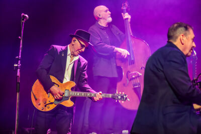 Jools Holland and His Rhythm & Blues Orchestra @ De Roma, picture 17, photographed by Marc Verdonck - FrontView Magazine