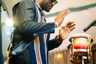 Alune Wade @ Jazz Middelheim, foto 2, foto's door Livia Vaduva - FrontView Magazine