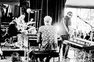 Dusthorse @ Blues Peer, foto 45, foto's door Leen Verlinden - FrontView Magazine