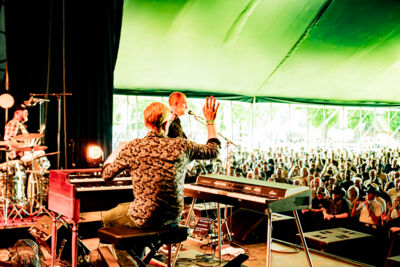 Dusthorse @ Blues Peer, foto 42, foto's door Leen Verlinden - FrontView Magazine