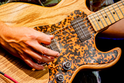 Delvon Lamarr Organ Trio @ Blues Peer, foto 1, foto's door Leen Verlinden - FrontView Magazine
