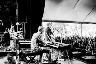 Dusthorse @ Blues Peer, foto 47, foto's door Leen Verlinden - FrontView Magazine
