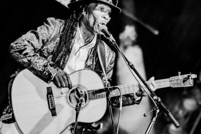 Brushy One String @ Blues Peer, picture 5, photographed by Leen Verlinden - FrontView Magazine