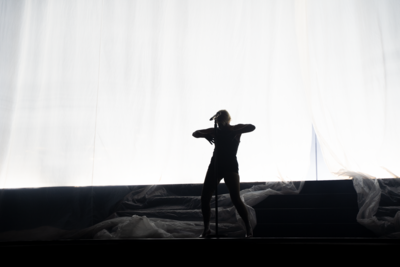 Robyn @ ING Arena, foto 6, foto's door Tine Van Daele - FrontView Magazine